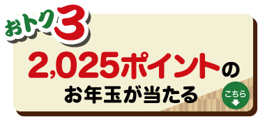 おトク3|2,025ポイントのお年玉が当たる！