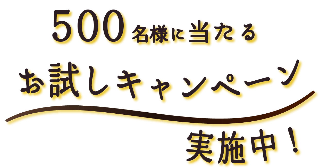 500名様に当たるお試しキャンペーン実施中！