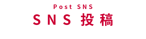 SNS投稿