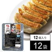 ジャン 焼肉の生だれ 配合 大粒肉餃子 336g(12個入)