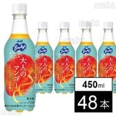 バヤリース 大人のマンゴー ～オレンジピールを添えて～ PET450ml