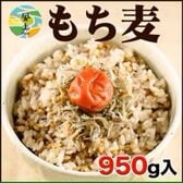 【1セット950g】もち麦