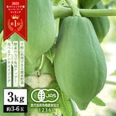 【3kg（約3-6玉）】かのや有機青パパイヤ