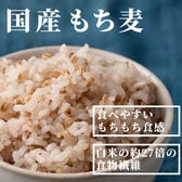 【20kg×1袋)】国産もち麦(ダイシモチ)【業務用サイズ】