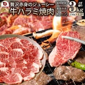 【3kg】牛 ハラミ 焼肉 牛肉 メガ盛り（250g×12パック）