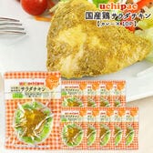 【100g×10P】国産素材のサラダチキン（カレー）