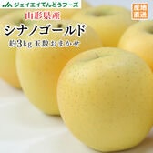 【約3kg(玉数おまかせ)】[秀品] 山形県産りんごシナノゴールド