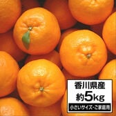 【約5.0kg(SSサイズ・ご家庭用)】香川県産 ポンカン