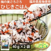 【40g×2袋】北前船カワモト 梅の実ごろごろひじきごはん