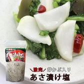 【160g×2袋】あさ漬けの塩