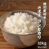 【10kg(5kg×2袋)】特別栽培米 コシヒカリ(精白米) 丹波産 令和5年産