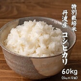 【60kg(5kg×12袋)】特別栽培米 コシヒカリ(精白米) 丹波産 令和5年産
