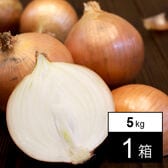 【5kg/1箱】淡路島産玉ねぎ