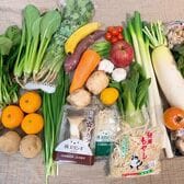 クール便でお届け！国産野菜 詰め合わせ 100サイズ