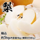 【予約受付】8/22~順次出荷【箱込約5kg】九州産 梨《個数・品種おまかせ》(ご家庭用)【sg】