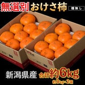 【計6kg/約3kg×2箱】新潟県産『おけさ柿』