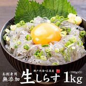 【1kg】お刺身生しらす 1kg 瀬戸内海産 海鮮丼 [[生シラス200g-5p]