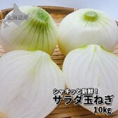 【予約受付】8月上旬~順次出荷　北海道産 サラダ玉ねぎ 10kg