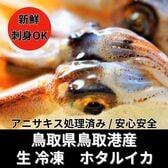 【10kg】鳥取県産 生ホタルイカ