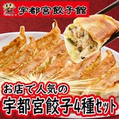 【4種計64個】「宇都宮餃子館」 お店で人気の宇都宮餃子4種セット