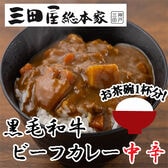 【計12袋】「三田屋総本家」黒毛和牛ちょこっとビーフカレー詰合せ