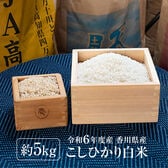 【約5kg】令和6年度産 新米 香川県産コシヒカリ《備蓄にも最適》