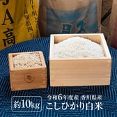 【約10kg(5kg×2袋)】令和6年度産 新米 香川県産コシヒカリ