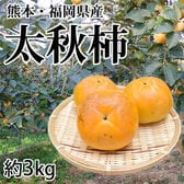 【予約受付】10/22~順次出荷【約3kg】熊本・福岡県産 太秋柿(ご家庭用・傷あり)