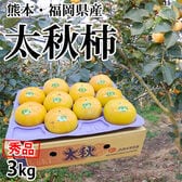 【予約受付】10/22~順次出荷【3kg】熊本・福岡県産 太秋柿 秀品