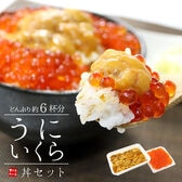 【510g】うにいくら丼セット どんぶり約6杯分 海鮮丼 海鮮セット [[ウニイクラセット-3p]