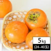 【予約受付】10/15~順次出荷【5kg(24-40玉入り)】山形県庄内産 無選別 庄内柿 ※種なし