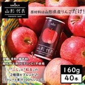 【160g×40本】SUN&LIV 山形代表りんご（山形食品）濃厚でスッキリした味わい！