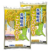 【計10kg/5kg×2袋】新米 令和6年産 茨城県産コシヒカリ 白米