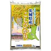 【5kg】新米 令和6年産 茨城県産コシヒカリ 白米