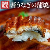 【3尾セット/1尾あたり(130g以上)】鹿児島県産『若うなぎの蒲焼』築地魚力