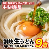 【9食】讃岐生うどん9食セット (麺300g×3袋 )