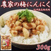 【300g】農家の梅にんにく＜紀州南高梅・はちみつ使用＞