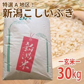 【30kg (30kg×1袋)】令和6年産 新米  玄米 大人気！新潟県上越産こしいぶき (玄米)