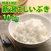 【10kg (5kg×2袋)】令和6年産 新米  大人気 新潟県上越産こしいぶき