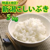 【5kg×1袋】令和6年産 新米  大人気 新潟県上越産こしいぶき