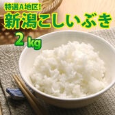 【2kg×1袋】令和6年産 新米  大人気 新潟県上越産こしいぶき