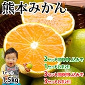 【予約受付】10/28~順次出荷【1.5kg】熊本みかん 極早生 (ご家庭用・傷あり)