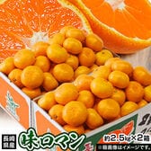 【予約受付】11/25~順次出荷【計約5kg/約2.5kg×2箱】長崎県産 極甘みかん 味ロマン