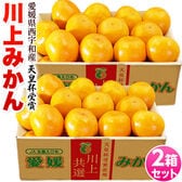 【予約受付】11/3~順次出荷【計6kg(約3kg×2箱/2Lサイズ)】愛媛県産 川上みかん