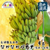 【産地直送】【長崎県島原産】5本　なかなかバナナ(段ボール入)