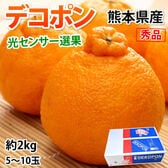 【予約受付】12/5~順次出荷【約2kg】デコポン 光センサー選果 熊本県産 DEKOPON 秀品