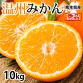 【予約受付】11/21~順次出荷【約10kg】 温州みかん 秀品 熊本県産