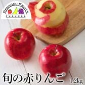 【長野/青森】1.2kg  旬の赤りんご