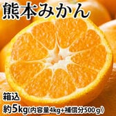 【予約受付】11/19~順次出荷【箱込約5kg】熊本みかん (ご家庭用・傷あり)