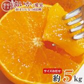 【予約受付】12/5~順次出荷【約5kg(サイズお任せ)】あいか・紅まどんな 同等品種 (ご家庭用)